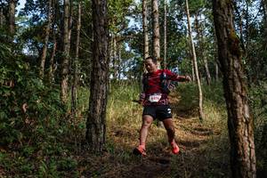 BIB: 278
                            <button type="button" onclick="openModal(22280781)" class="btn btn-primary btn-sm float-right btn-popup" data-toggle="modal" data-target=".modal-high-quality">
                        <i class="fas fa-shopping-cart"></i> Add to Cart
                    </button>
                                            <button type="button" onclick="isThisMe(22280781, true)" class="btn btn-success btn-sm float-right btn-popup btn-isme hidden" data-toggle="tooltip" data-placement="bottom" title="นี่คือรูปของคุณใช่ไหม คลิกที่นี่เพื่อเอาเข้าอัลบั้ม">
                        <i class="fas fa-plus"></i> Add to album
                    </button>
                    <button type="button" onclick="isThisMe(22280781, false)" class="btn btn-warning btn-sm float-right btn-popup btn-isnotme hidden">
                        <i class="fas fa-ban"></i> Remove from album
                    </button>